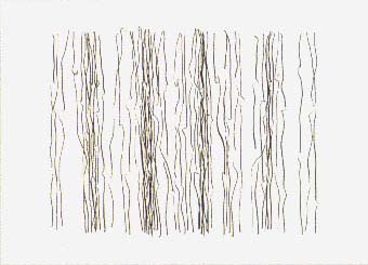 ���Z����i